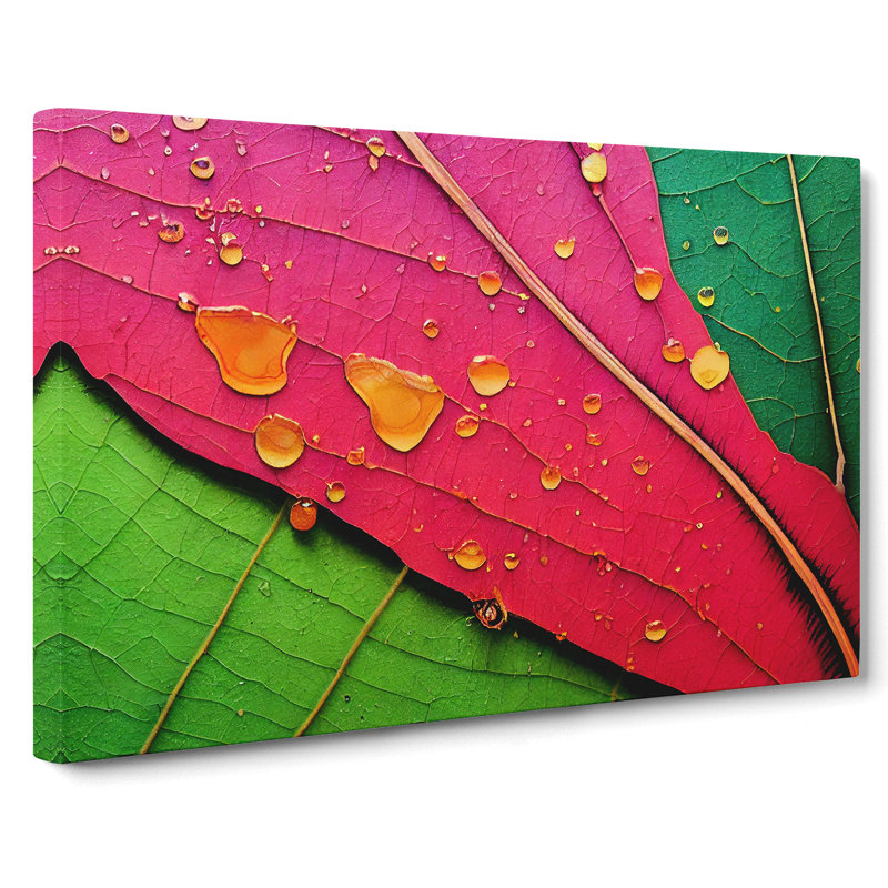 Tantalizing Leaf - Wrapped Canvas Print, 35cm H x 50cm W x 3cm D