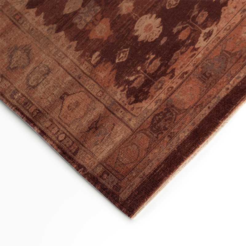 Tapis intérieur et extérieur brun Overdyed, Rectangulaire 3 pi x 5 pi
