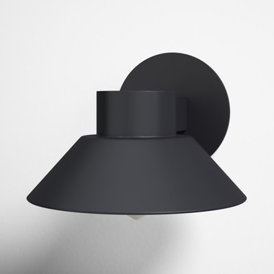 Erikson LED Frosted Outdoor Armed Sconce