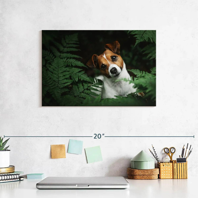 Adorable Terrier
