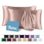 Satin Pillowcase Set Zipper Closure-103863927-103863924