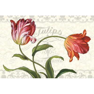 Tulipe botanique I crème