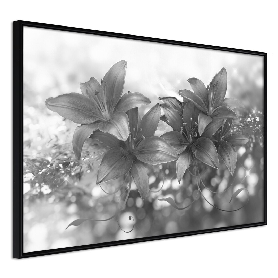 Gerahmter Fotodruck Dark Lillies