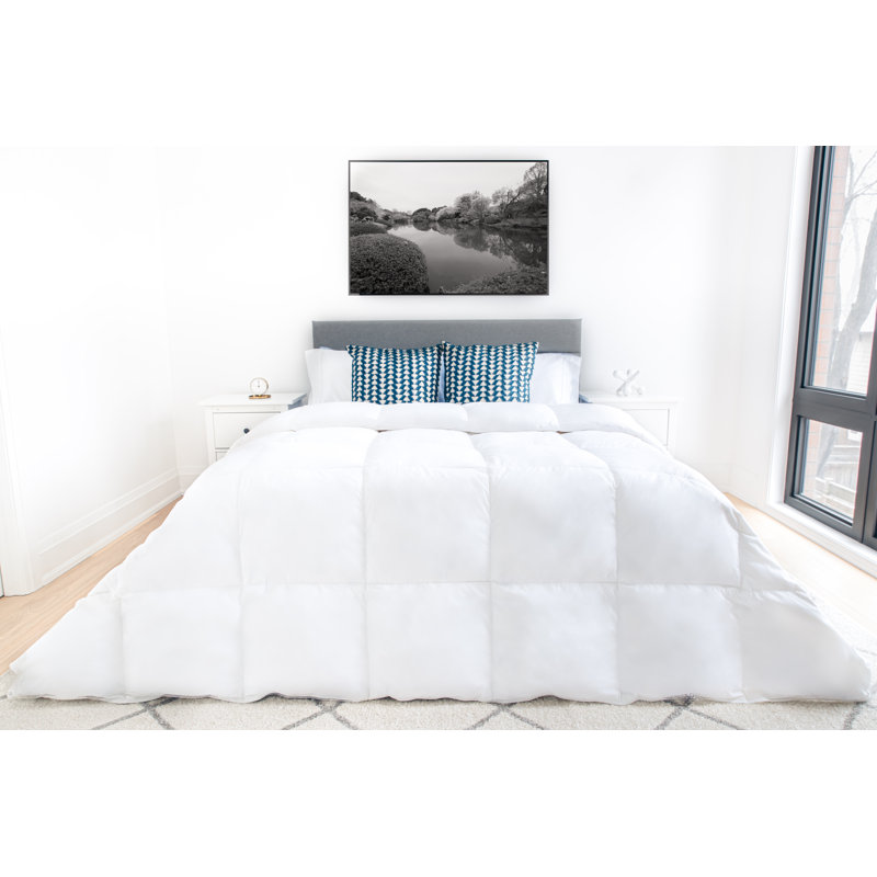Gyor Extra Warm 750 Fill Power Hungarian White Goose Down 233TC Comforter, Twin