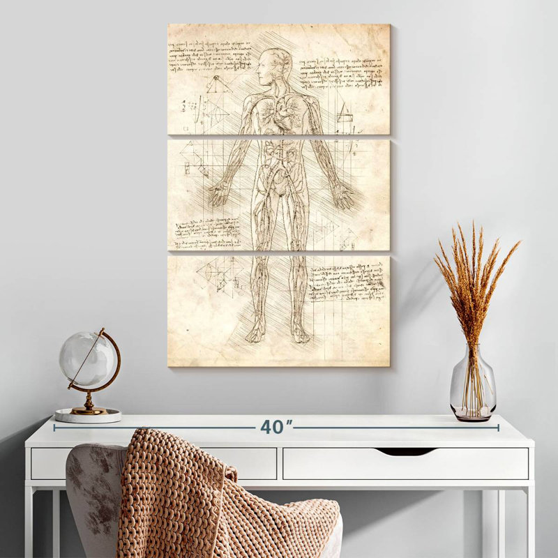Keiri Human Circulatory System, 32" H x 20" W