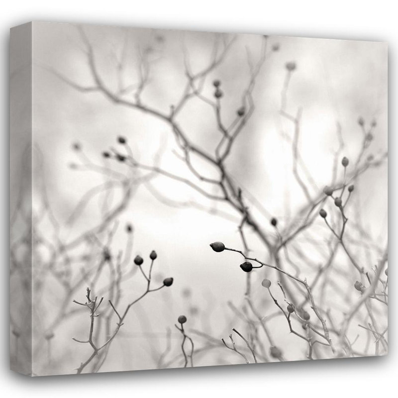 Art sur toile tendue Red Barrel Studio® Bell, Nicholas Gallery, Winter Berries, H 20 po x l 20 po
