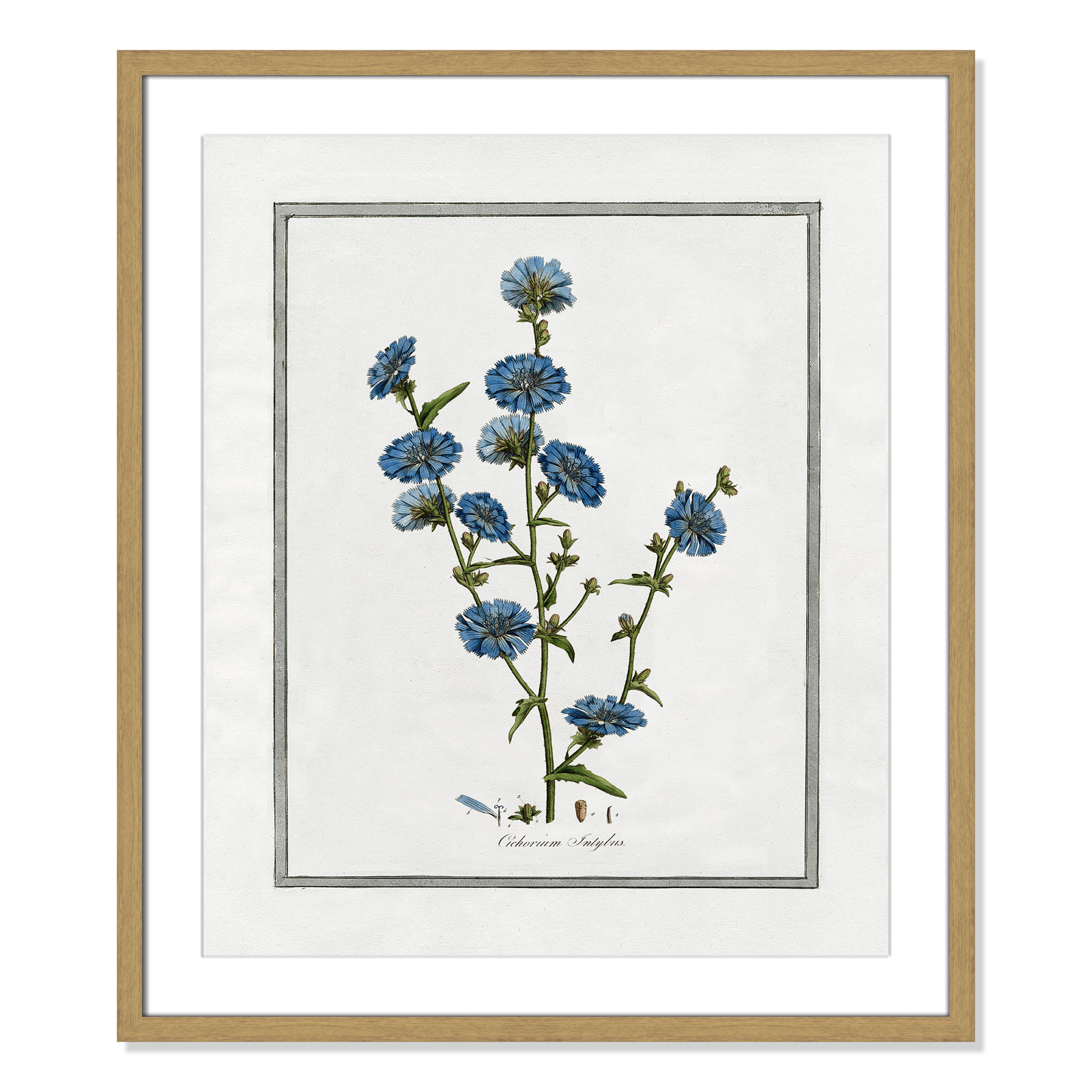 Colombe "Soft Botanical I" Print, 21.5" W x 25.5" H, Natural Framed