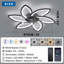 Ceiling Fan with LED Lights