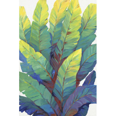 Sunlit Banana Leaves II