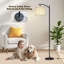  Lampe sur pied Arc Rose