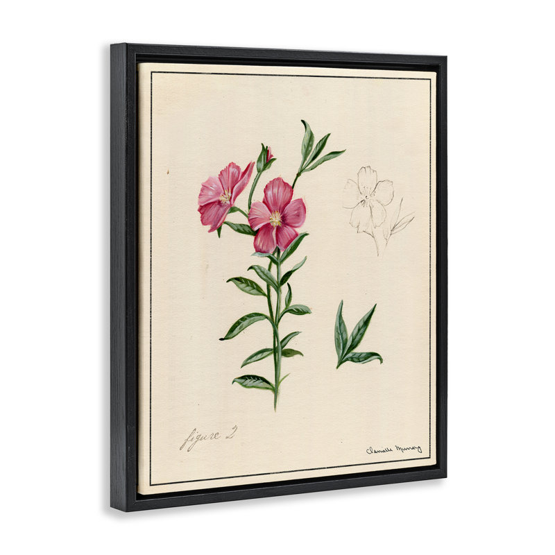 «Science Study», art mural sur toile flottante à fleurs roses, design par Danielle Murray, Cadre flottant noir de jais