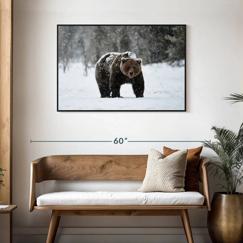 Winter Grizzly Bear, Floating Frame Black, 43" X 29"