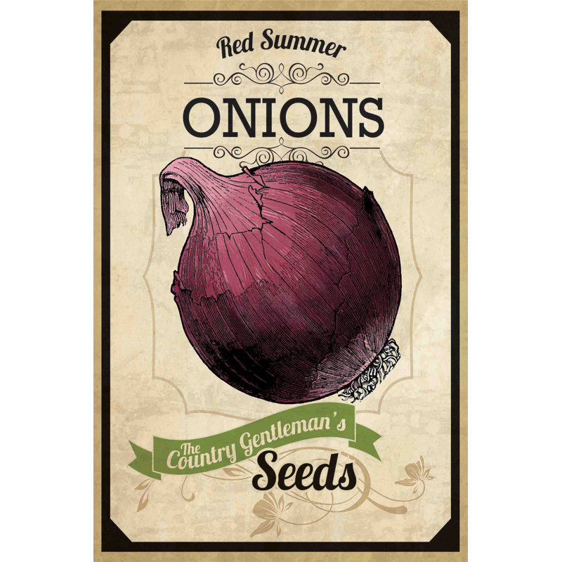 « seed packet oignon », reproduction d’art sur toile tendue, H 18 po x l 12 po