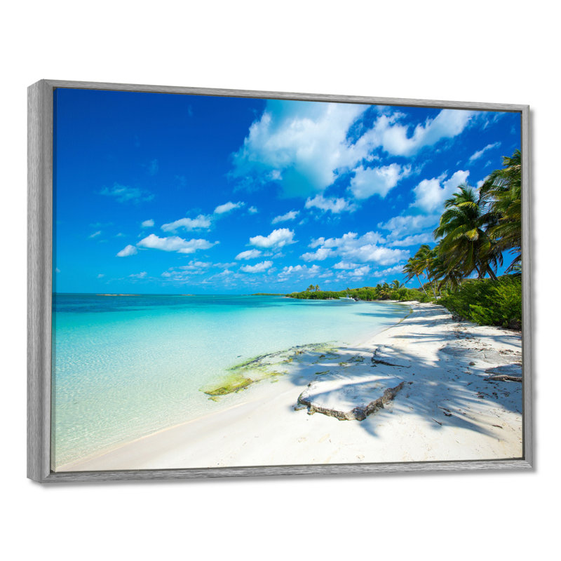 Mattos Tropical Beach With Palm Shadows - Print, 12" H x 20" W, Silver Floater Framed