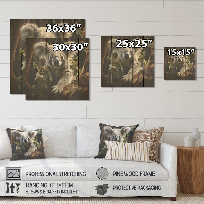 Mignon koala en Australie I - animal koala sur bois, H 15 po x l 15 po