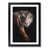 Black Framed selected