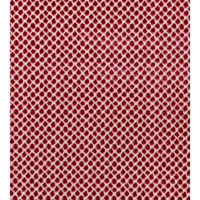 Modern Nature Fabric