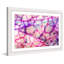 Veins - Single Picture Frame Print-460779094-460409481