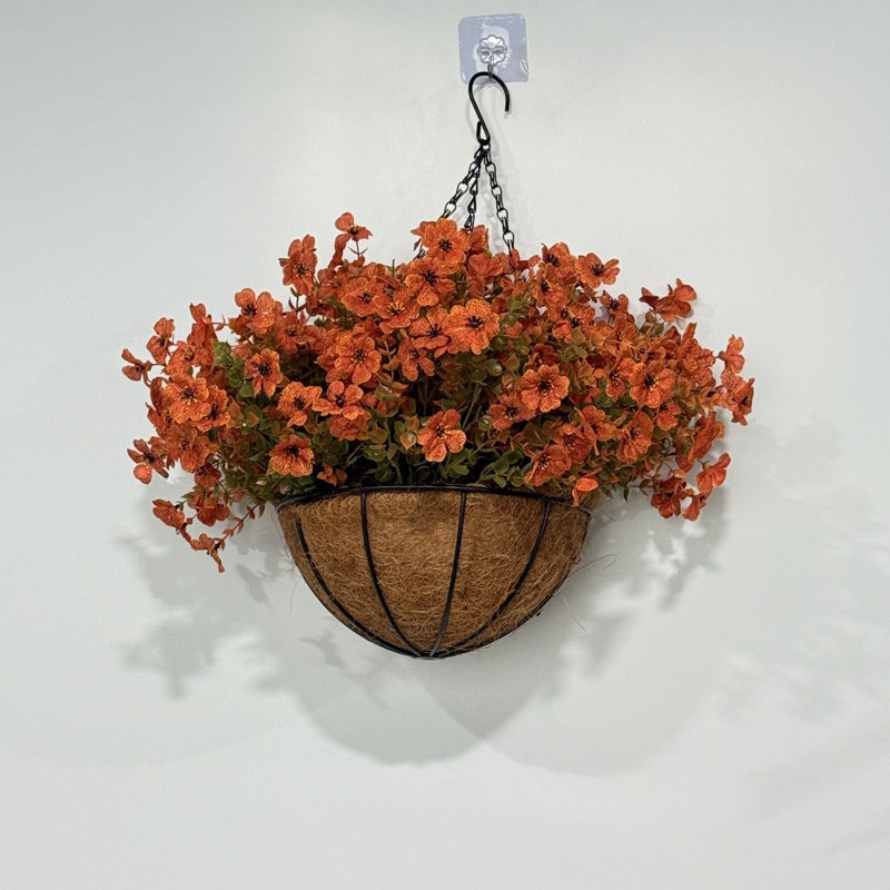 Composition florale dans un panier suspendu extérieur, Rouge