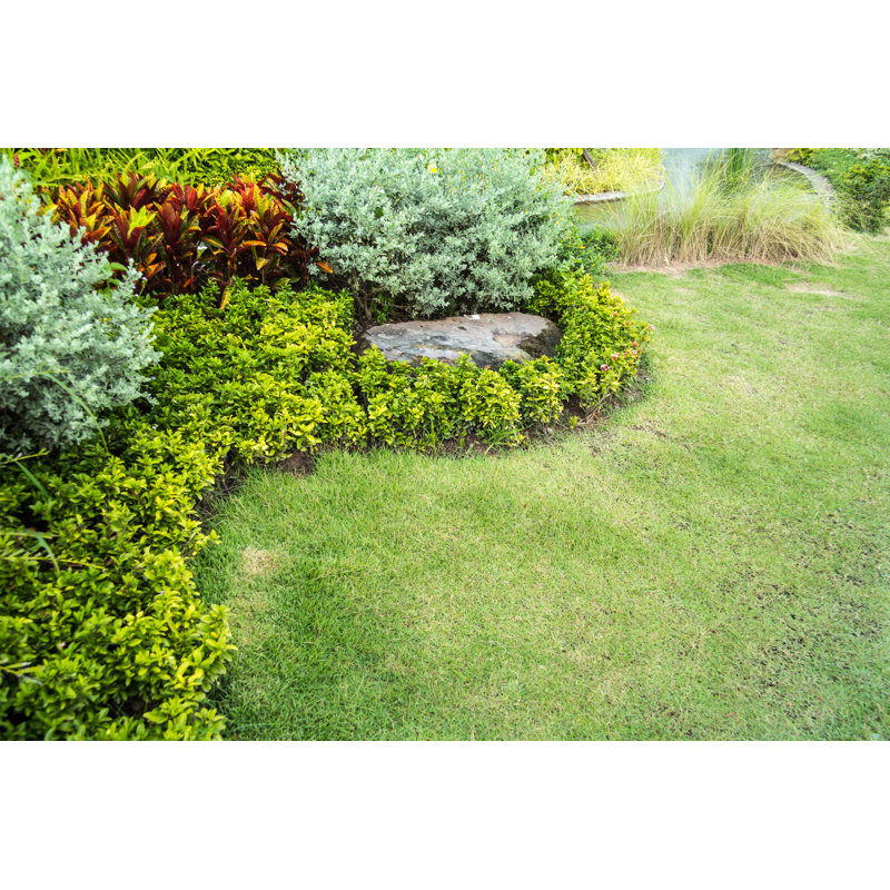«Beautiful Garden» par Twilights Show - Photographie sur toile tendue, H 20 po x l 30 po
