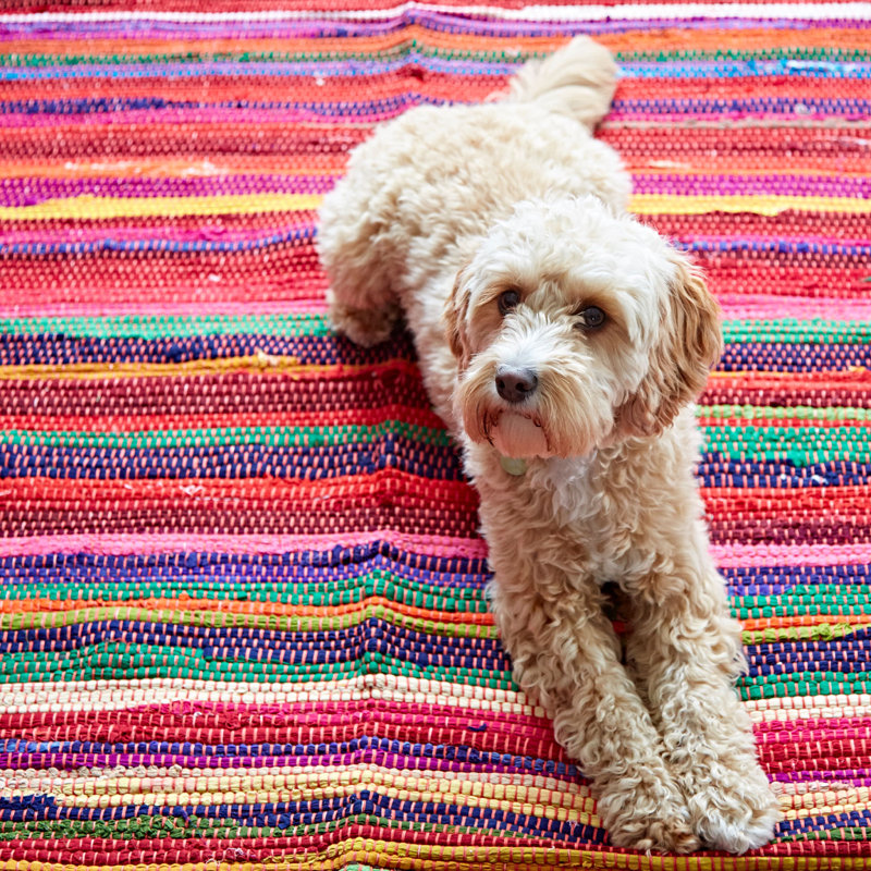 Multicoloured Recycled Rag Rug