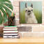 "Epos Graffiti" Whos Your Llama 1 C "par Julia Purinton, art mural sur toile-106173869