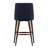 Leonitus Upholstered Counter Stool-19562645