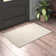 Aanay Chevron Indoor Rug