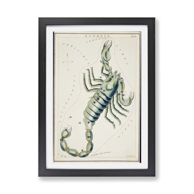 Astronomical Zodiac Chart Of The Scorpio - Single Picture Frame Print