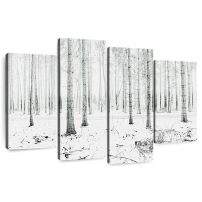 Harnek Langenargen Winter Forest
