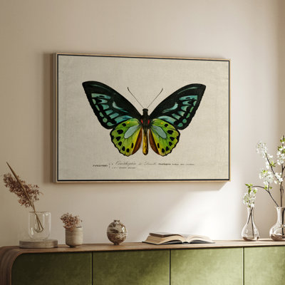 «Vintage Animal Print», toile encadrée galerie encadrée XXXV