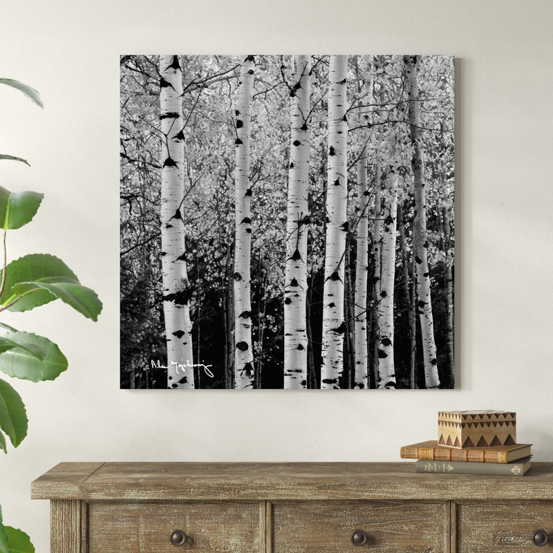 Aspens in Autumn II BW, H 36 po x l 36 po x P 1,25 po