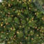 Sapin belge de luxe à double DEL de 2,74 m-331582106