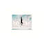 Art mural 24 po x 18 po Cliff Diver