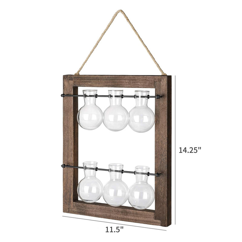 Plante terrarium avec support en bois