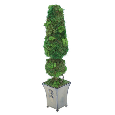 31'' Moss Topiary in Ceramic Planter