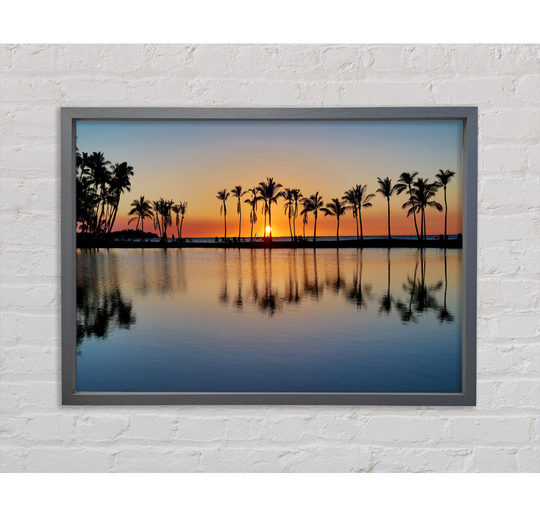 Reflections Of The Palm Trees - Einzelbildrahmen Kunstdrucke auf Leinwand