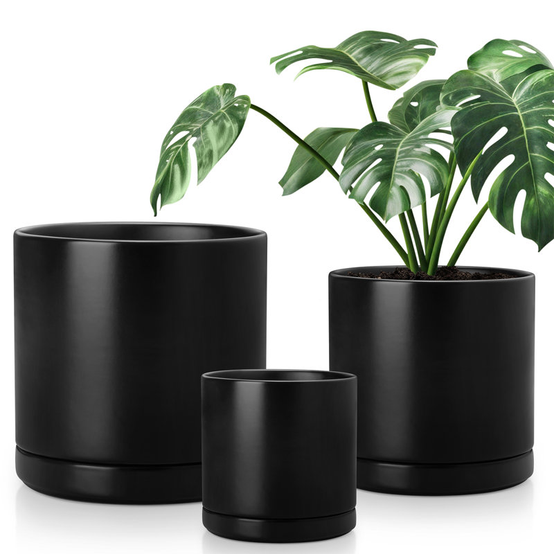 FLHPOT Ceramic Pot Planter