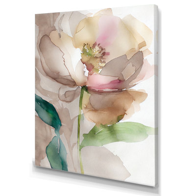 Blooming Peony In Gray Earth Tones III " Blooming Peony In Gray Earth Tones III " Color Photography Print