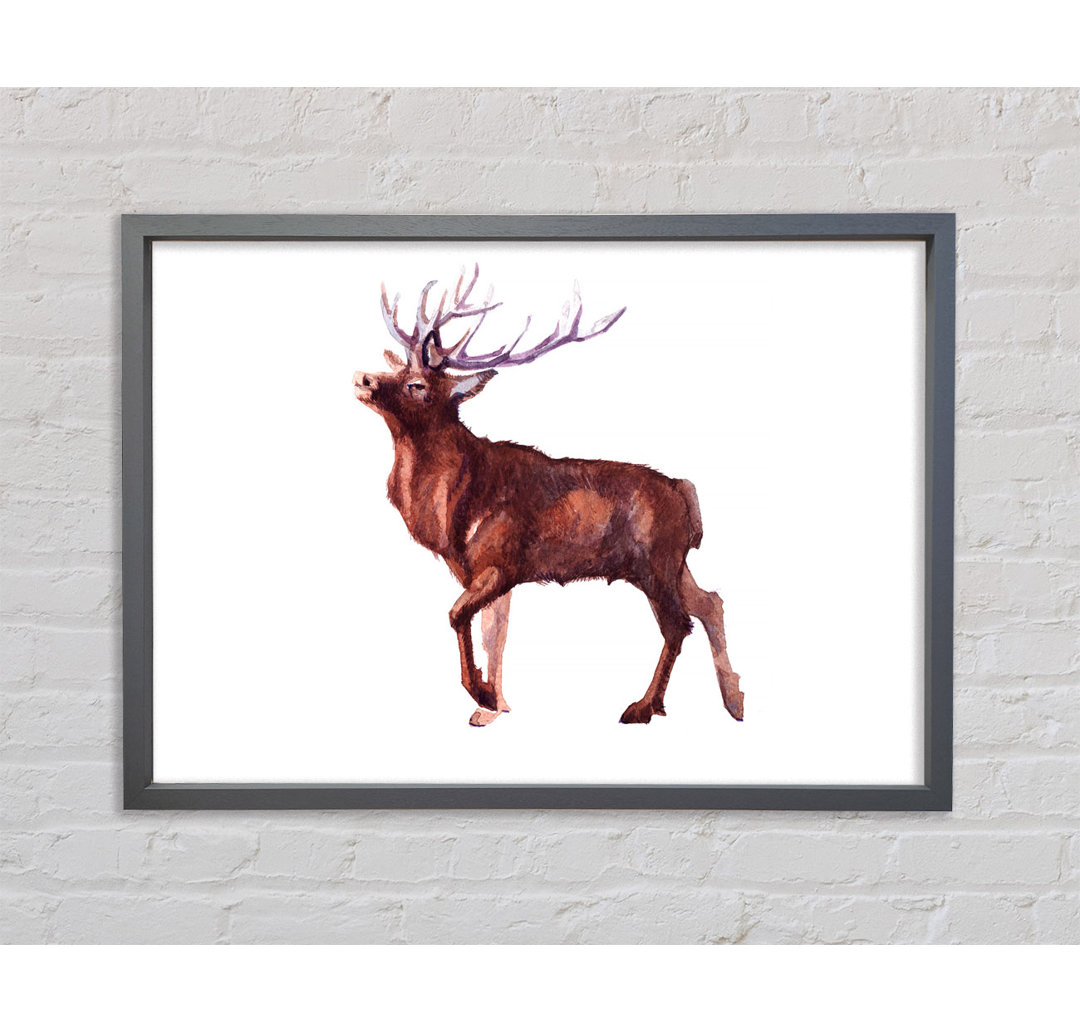 Red Stag Delight - Einzelner Bilderrahmen Kunstdrucke auf Leinwand