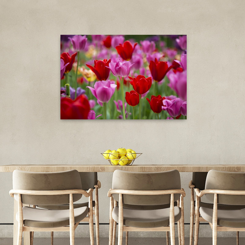 Red and pink Tulips in a garden Cantigny Park Wheaton Illinois USA 1 Piece Wrapped Canvas Wall Art, 91.44 cm H x 60.96 cm W