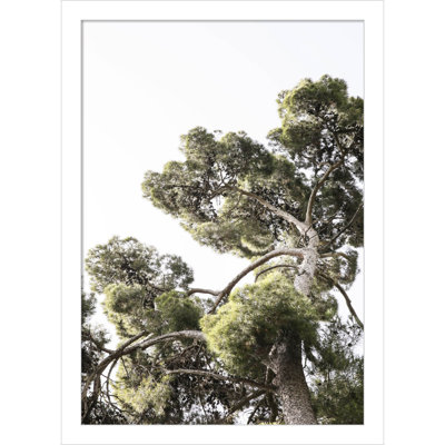 Reshma "Japanese Garden 01" Print