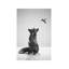 Little Friend by Daniel Taylor - Print on Canvas-861692255-883917627
