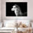 Brampt Noir Llama-107850006