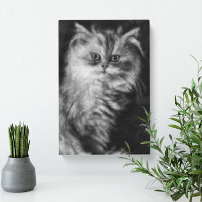 Persian Cat - Wrapped Canvas