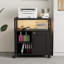 60cm Wide File Cabinet