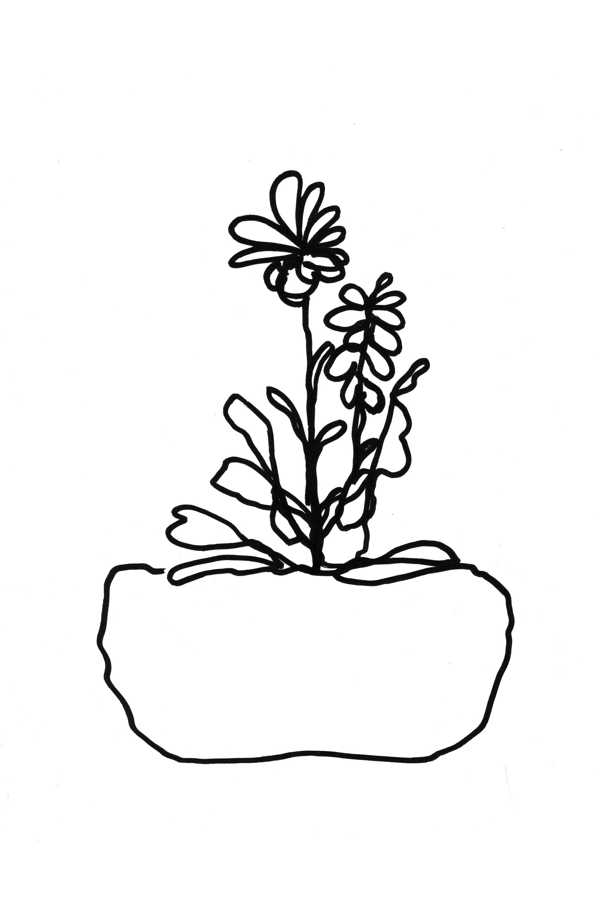 Art/Craft Class - Done beautiful flower pot drawing by... | Facebook