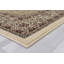 Alarah Oriental Area Rug in Ivory/Brown