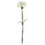Plastic, Silk Artificial Arrangement-88685012