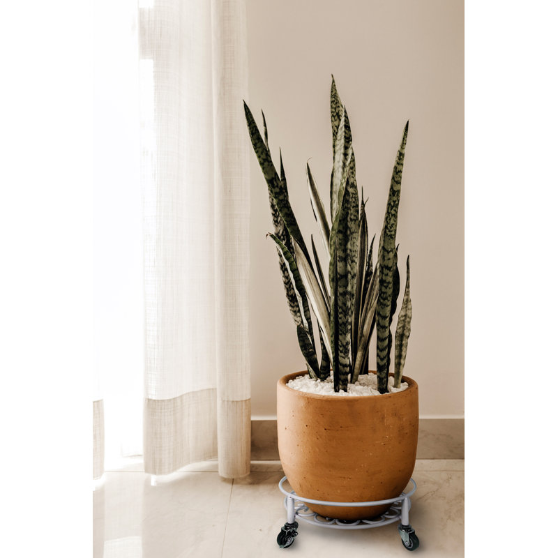 Plateau pour plante en métal Banush, Blanc, 14 po x 4,75 po